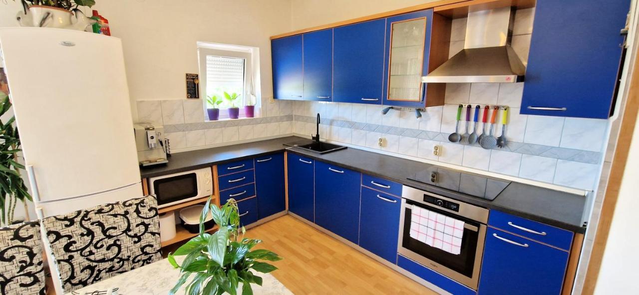 Apartments Pinezic Skrbčići Εξωτερικό φωτογραφία